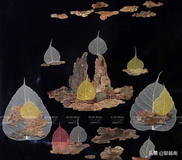 越南那些事,越南那些事完整版