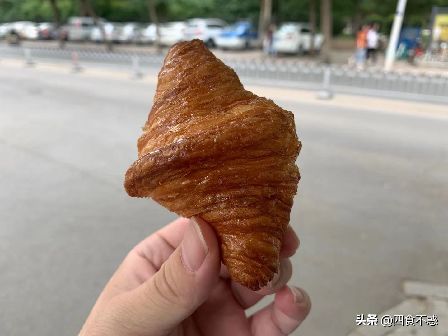 包头，原只想逗留一日，却因一顿羊肉多待一天