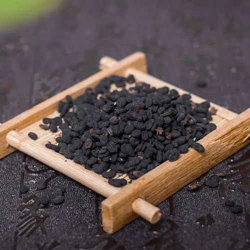 补骨脂的功效与验方,补骨脂性味歌诀