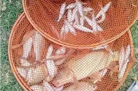 告诉你一个秘密化解身边小人,防止小鱼的十大绝招