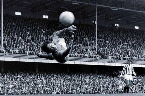 足球球星标志性动作,足球球星的招牌动作