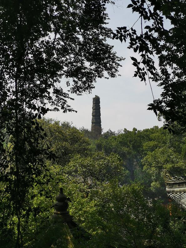 浙江观后感300字,关于浙江天台风景的作文