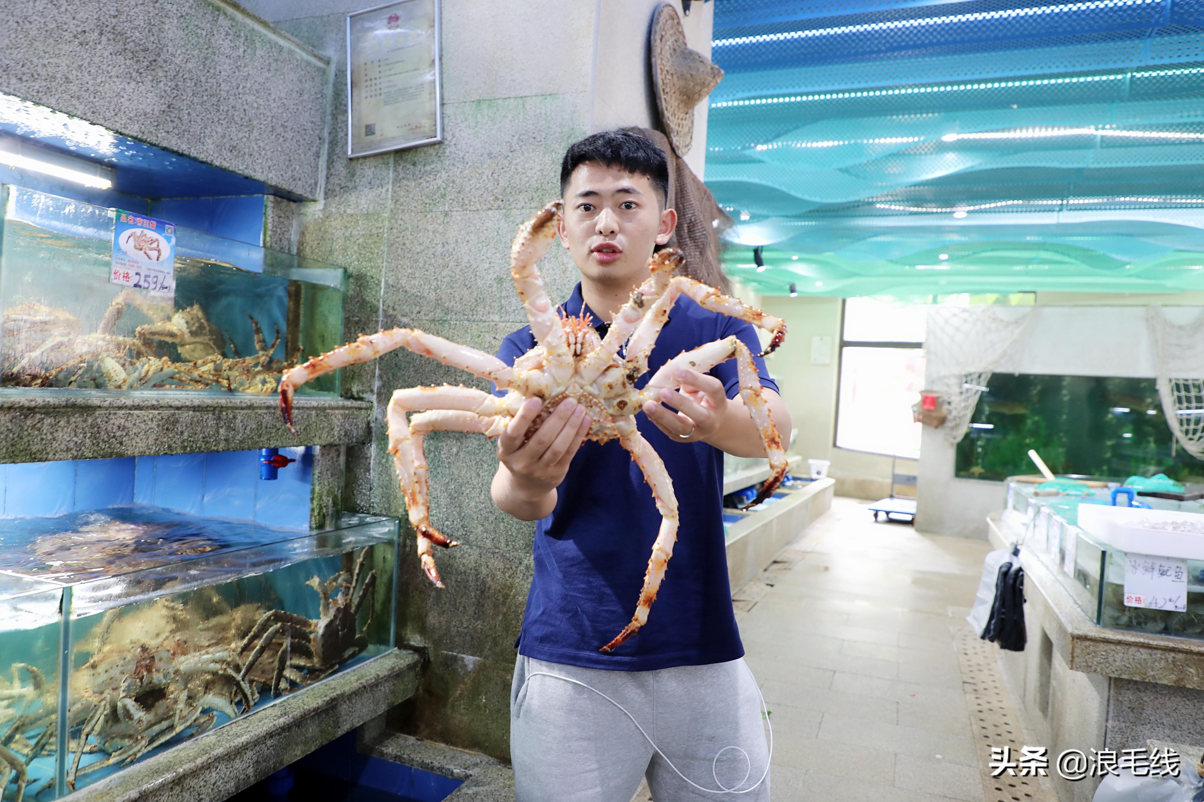 三亚海棠湾自由行热门攻略,那年夏天那片海简介