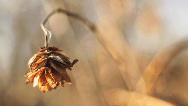 兼职老师暑假社会实践体会,暑假兼职应该什么时候找是最好的