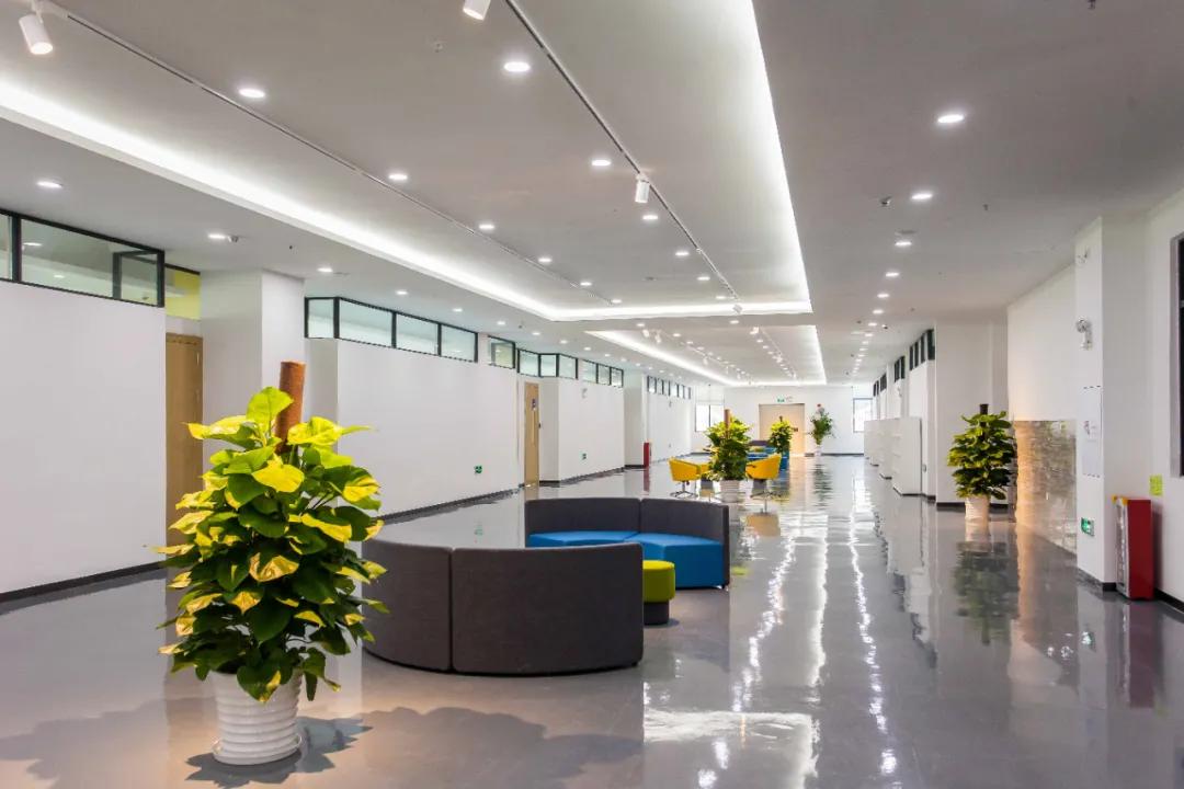 厚德书院2021中考分数线,深圳市厚德书院普高怎么样