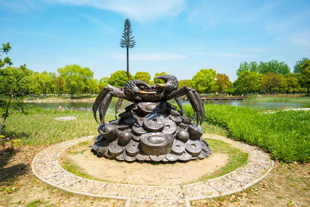 公母螃蟹哪种最好吃,最便宜的螃蟹哪里最好吃