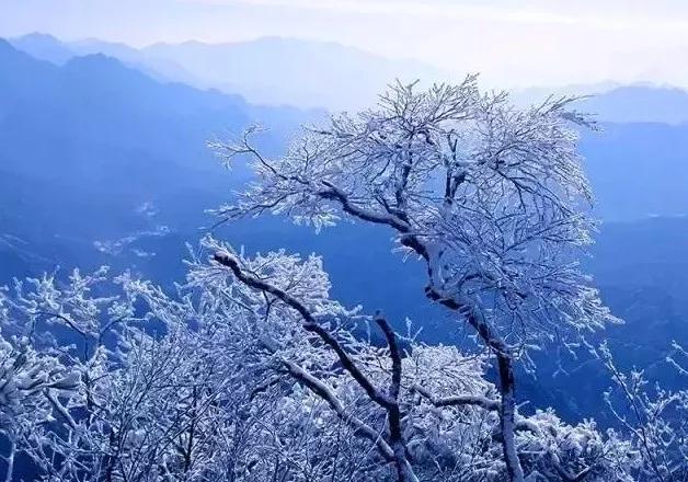 此生必去看一次雾凇太美了,此生必去看一次雾凇简直要美哭了