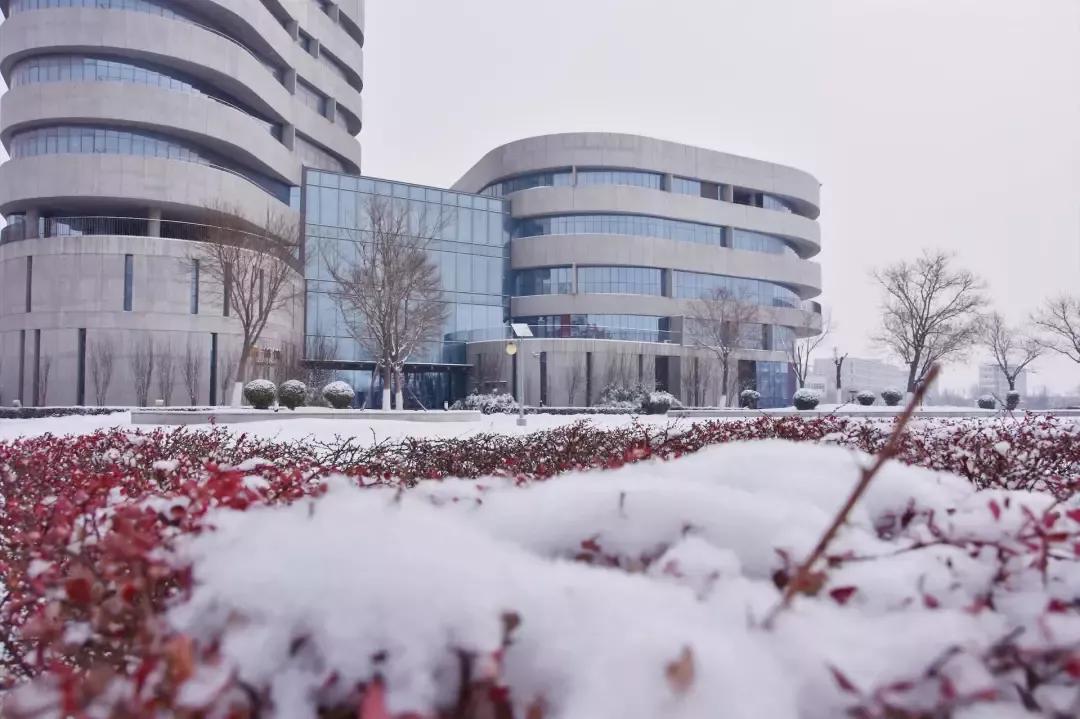 天津民办二本大学,天津仁爱学院滨海校区