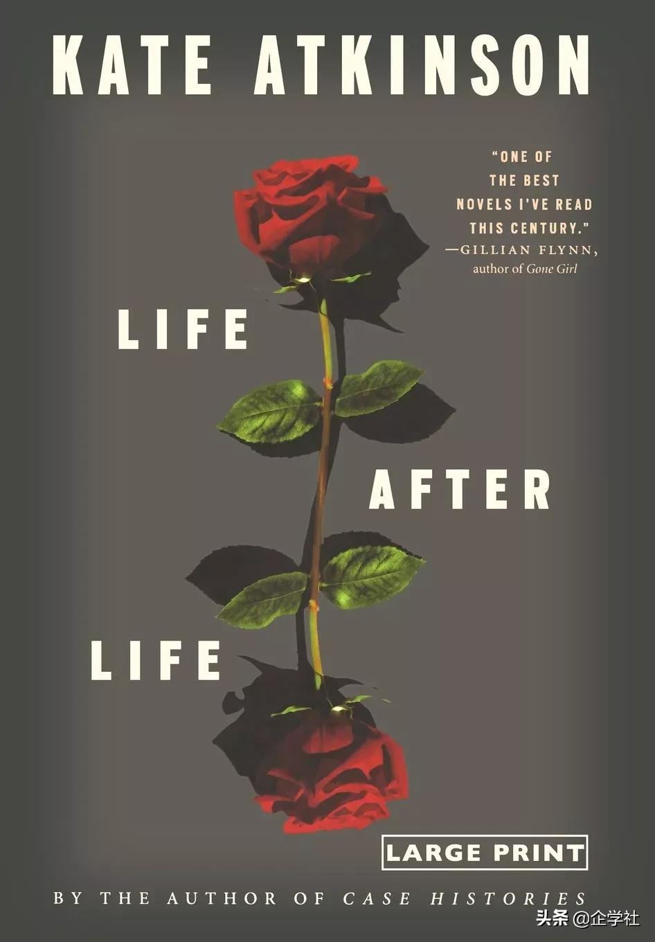 20世纪最经典的11本小说,21世纪经典阅读