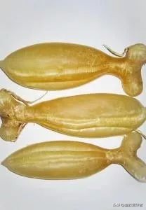 涨知识的详细讲解,涨知识的100个常识