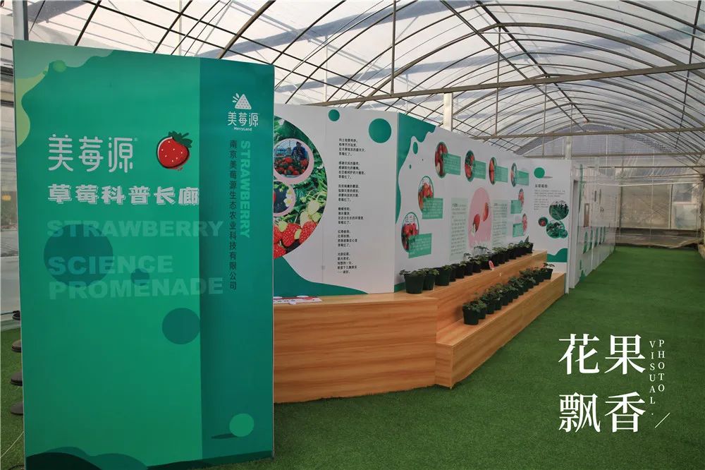 刘博士教种地,刘博士生涯规划