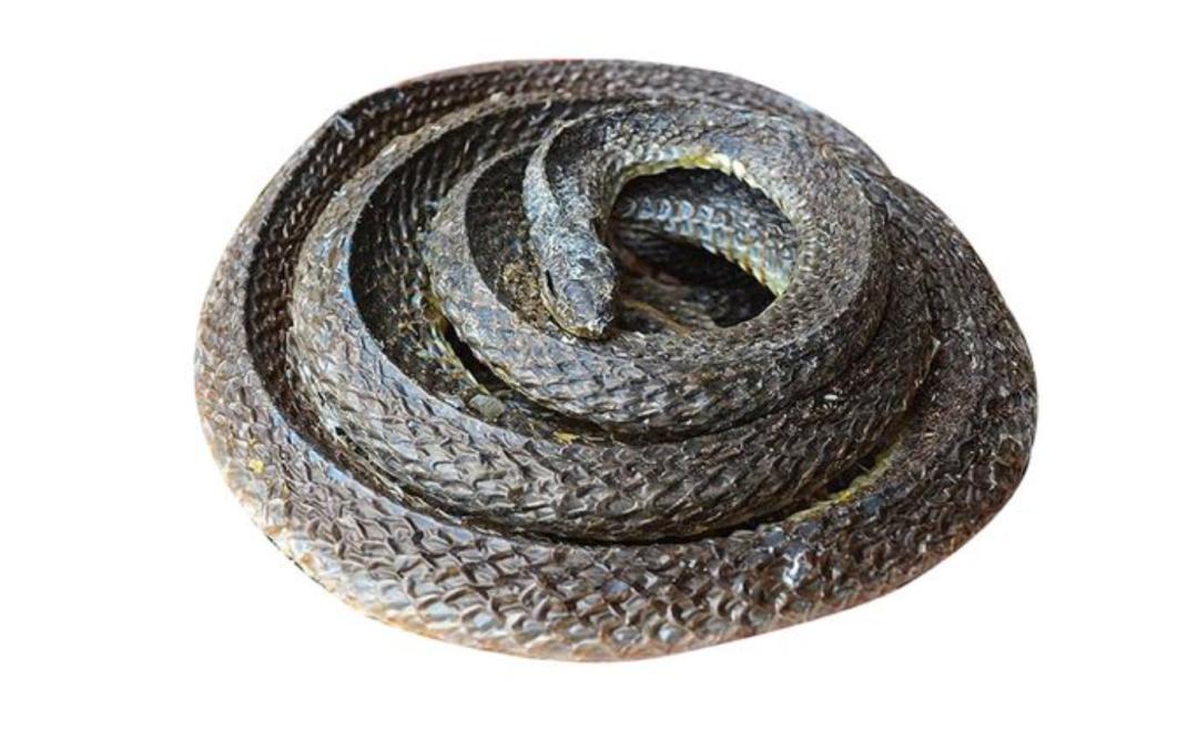 祛体内湿毒的最好最快的方法,如何祛湿毒最好的方法