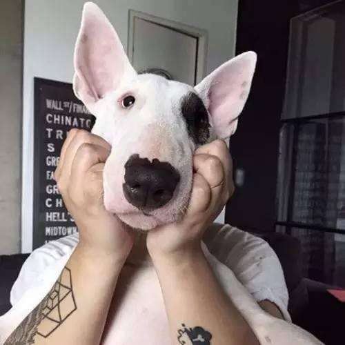 8090后的日本动画片,80年代90年代引进的日本动画片