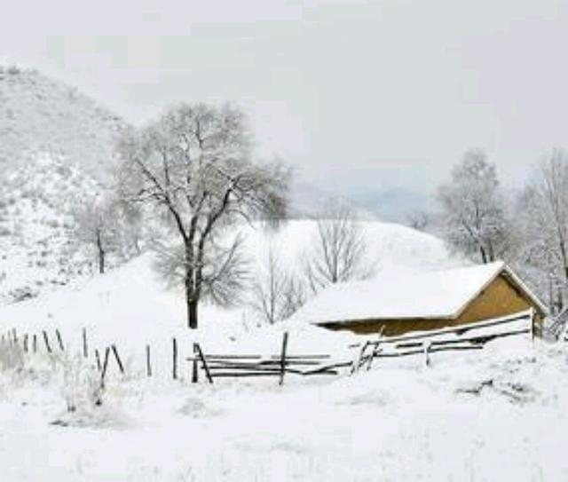 致疫情下的生活,致我的抗疫时光