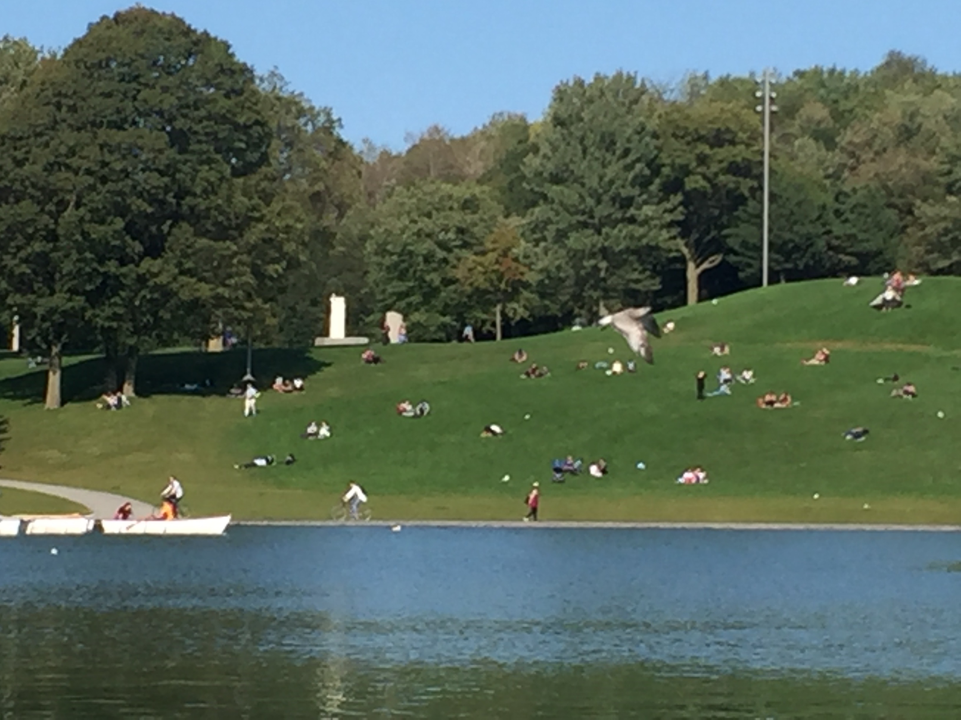 加拿大签证疑难问题集锦,加拿大签证在线递签教程