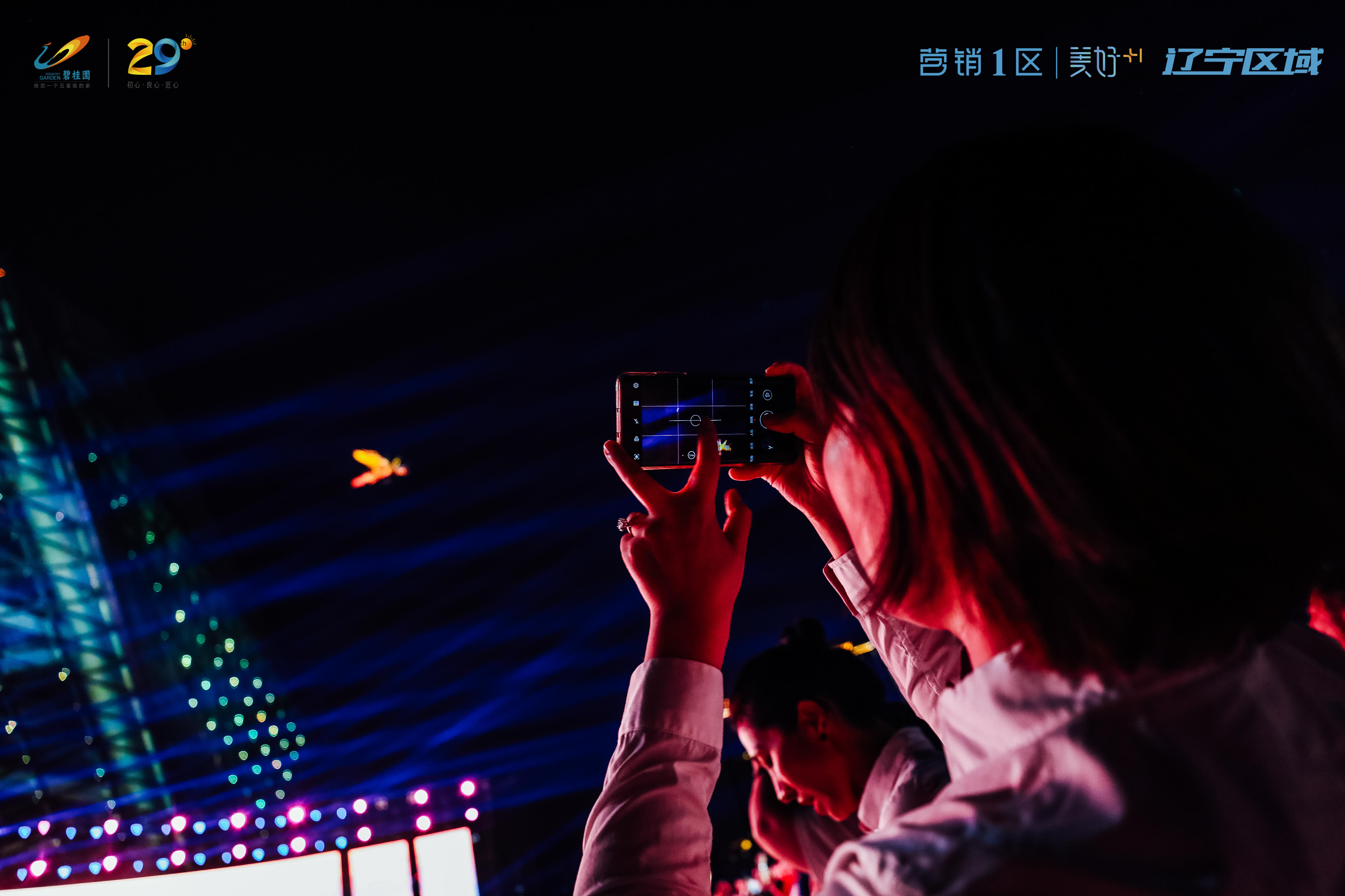 凤凰无人机演出视频,凤凰展翅无人机