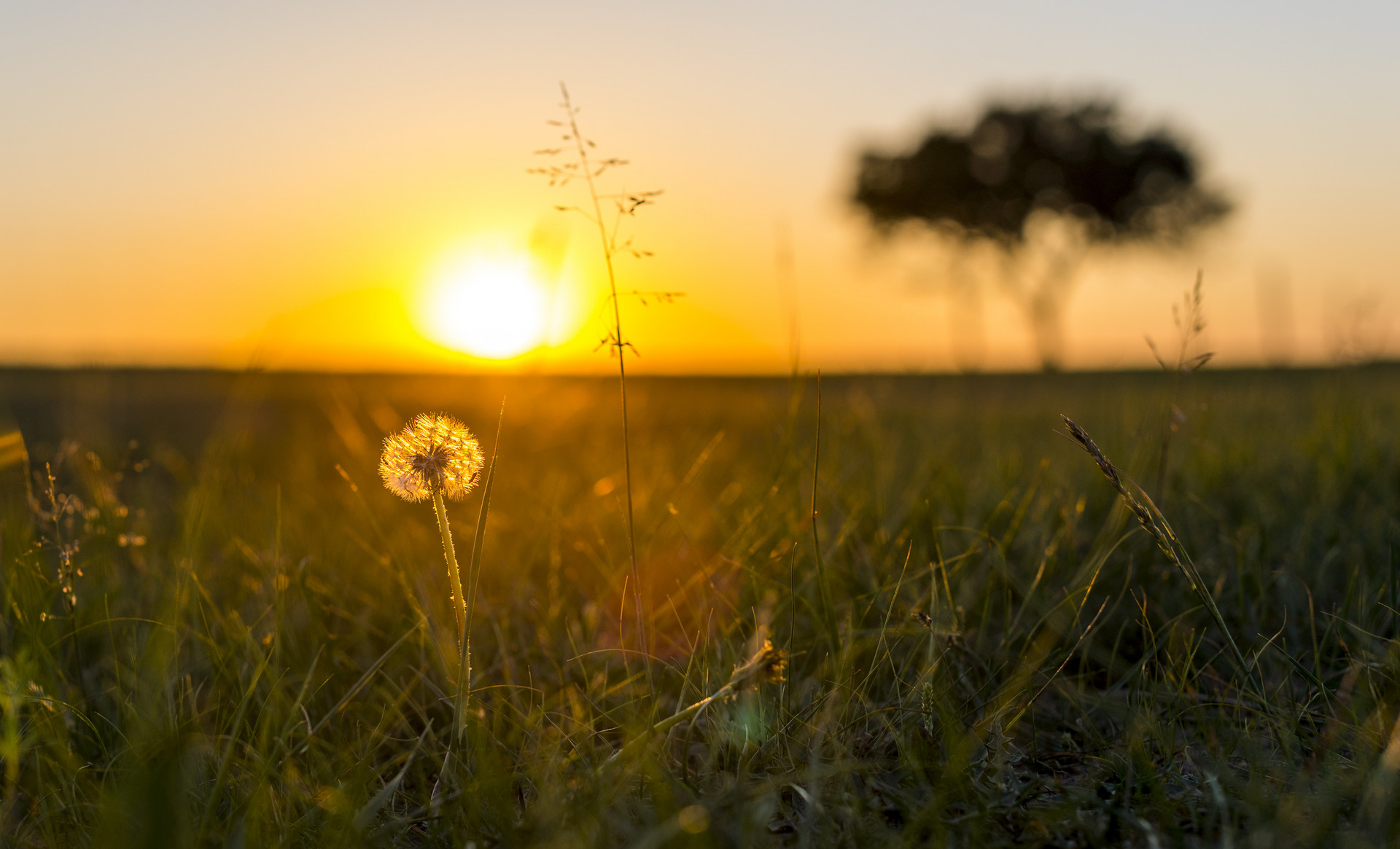 如果你是一个内向沉默的人,极度内向的人怎么提高自己