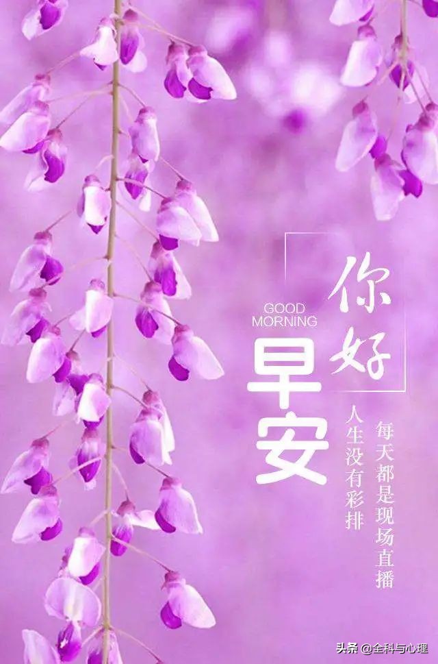 2020微信最新版早上好祝福图片朋友圈优美的早上好问候语带表情