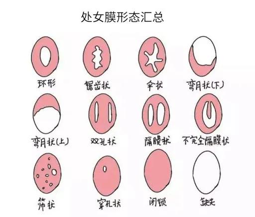 妫夋潯鐭ヨ瘑鏅強,妫夋潯鐭ヨ瘑绉戞櫘