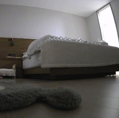 煤老板爆红完整版,煤老板ins