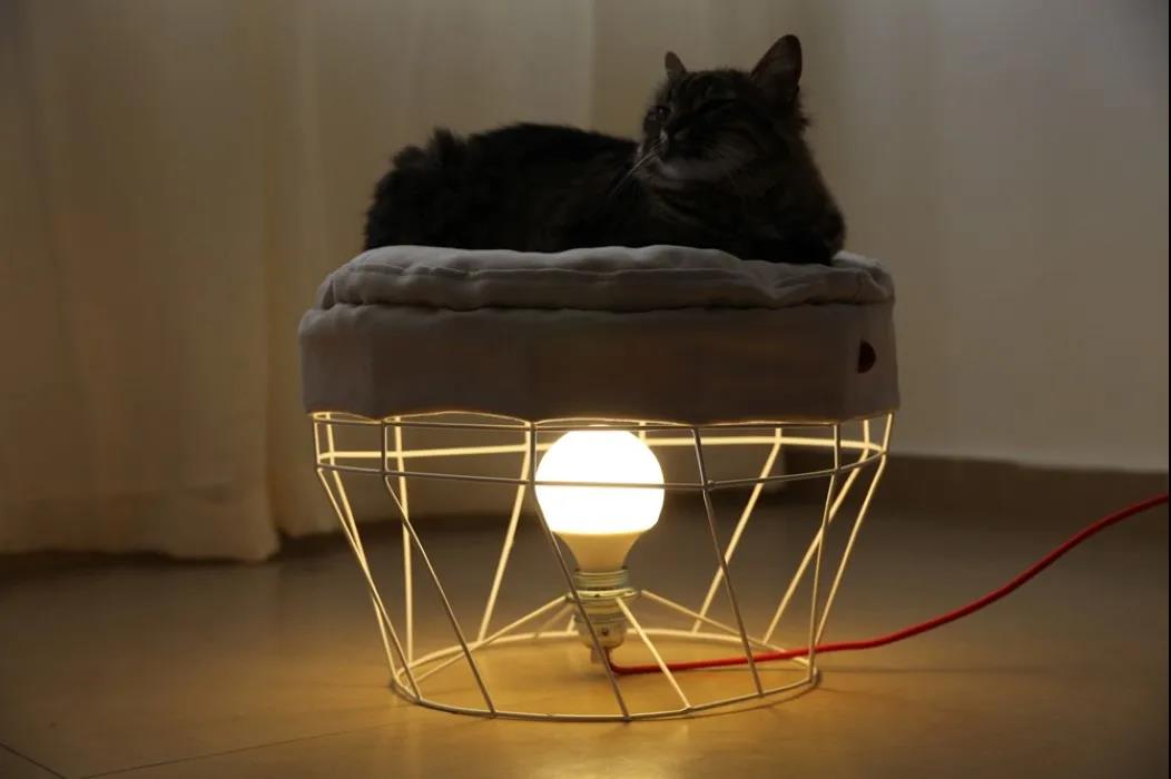 未来5年宠物智能产品,宠物产品logo设计