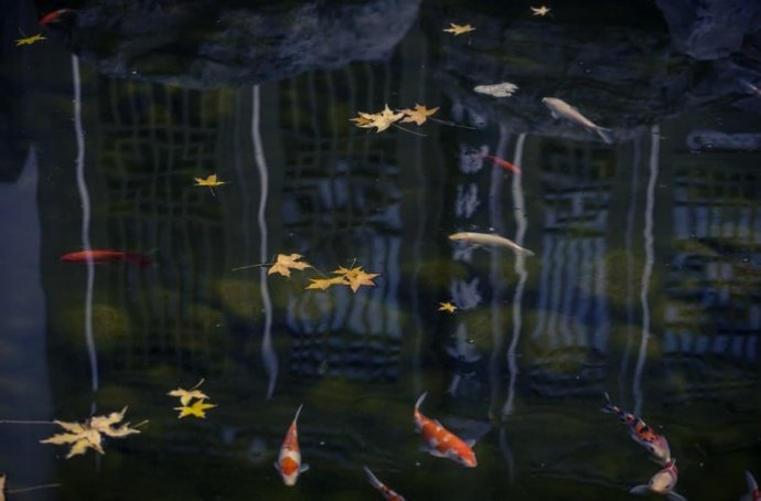 万壑千岩锁翠烟赏析,万壑千岩图片