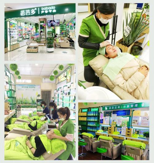 芦荟护肤品招商哪个赚钱,芦荟化妆品加盟创业项目