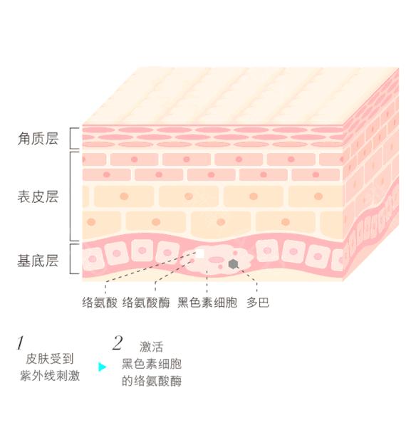 为什么用美白精华皮肤变白,为什么用了美白护肤品反而变黑了