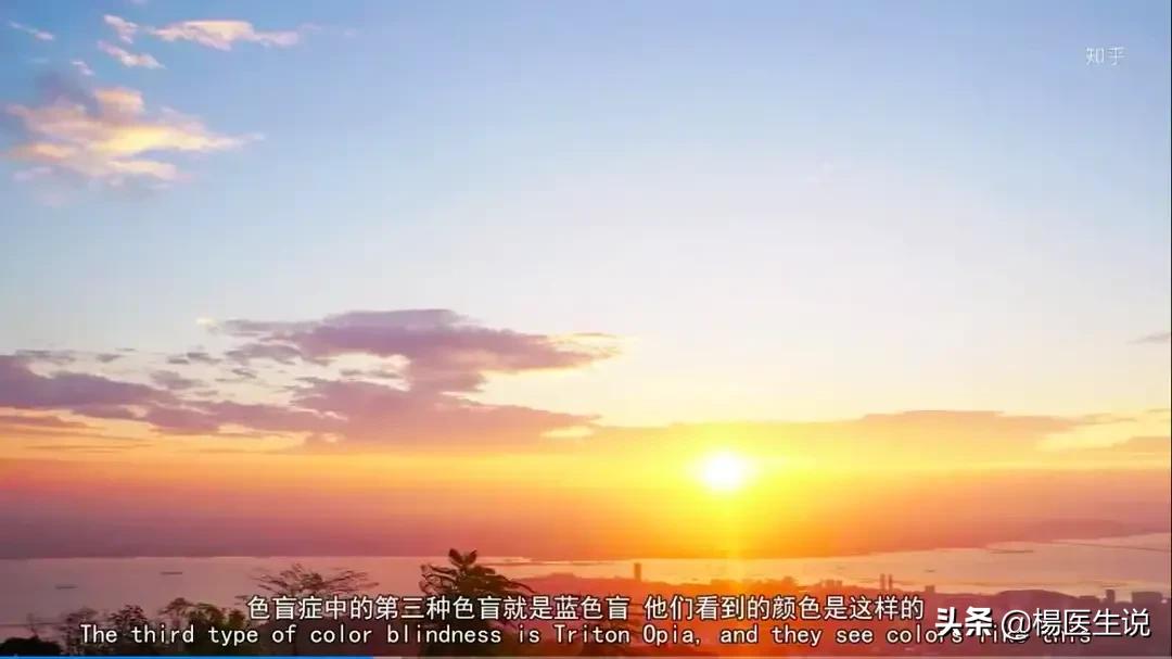 色盲眼中的世界,黄绿色盲患者眼中的世界