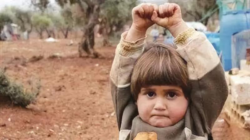 十四亿人点赞的视频,百万人疯狂转发此文已刷爆朋友圈