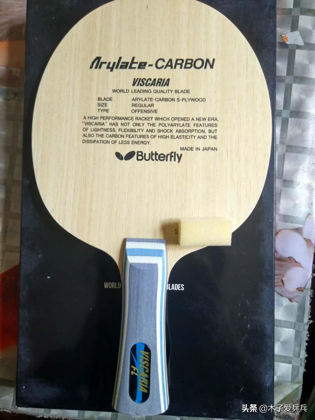 蝴蝶viscaria和波尔alc底板，相似的结构它们之间到底有多少差异