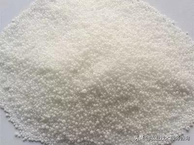 一次性说清楚功效,一次性说清嫡系