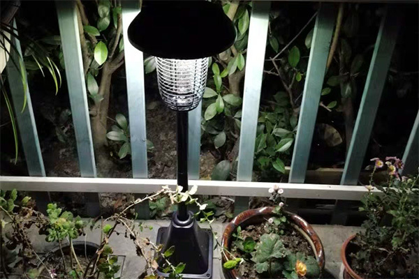 白蚁带翅膀的小飞虫怕什么,带翅膀的白蚁为什么成群爬出来