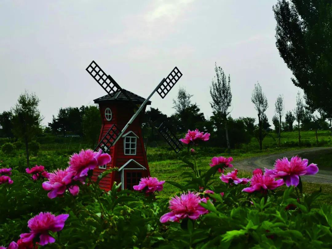 沈阳市新闻12月5日,沈阳新闻15日微博