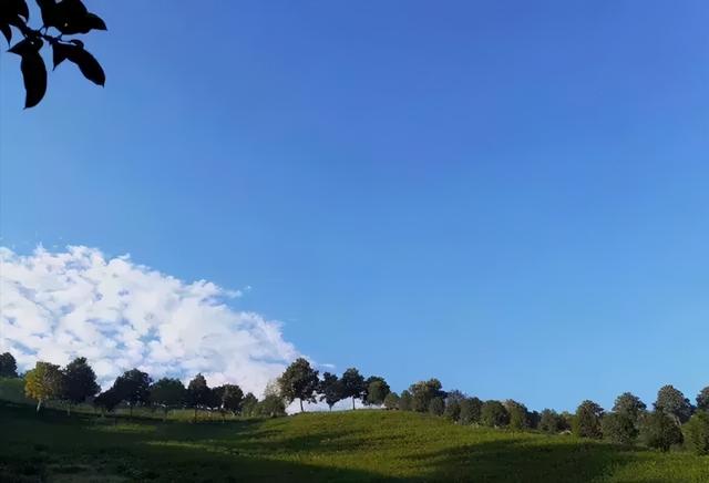溧阳市枫香小筑民宿,溧阳天目湖最好的民宿