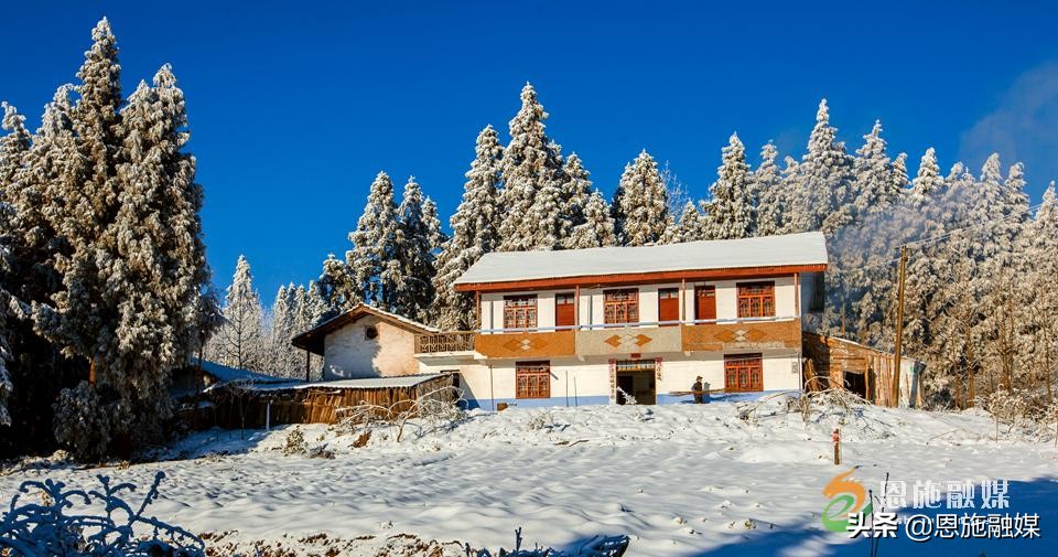 李伦英：用镜头记录家乡的美丽