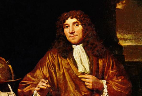 为什么精子会以蝌蚪的形式存在,科学家首次发现精子运动