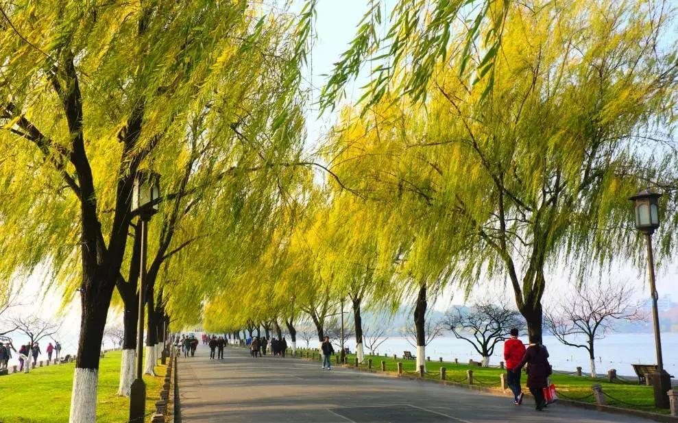 第一次来苏杭旅游必看本地人建议,新手玩游戏的必看