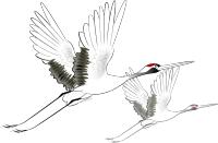 这家国潮网红串串落地襄阳啦，你只管拿串不用涮可以直接开吃