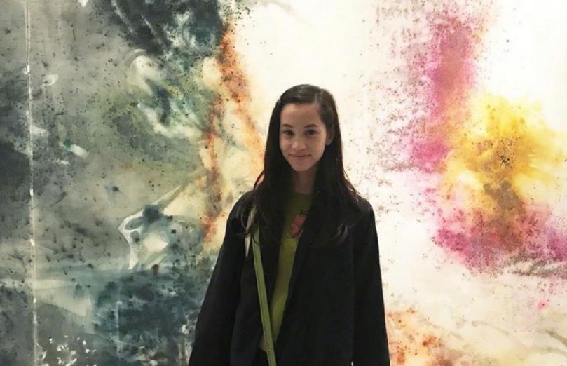 水原希子绯闻事件,水原希子红毯搞笑凹造型