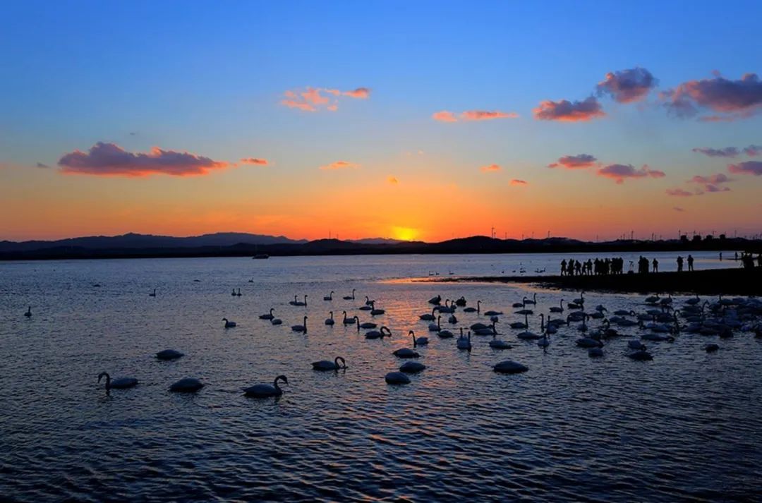 山东这两座小城，集齐了所有令人向往的美景，超级适合自驾！