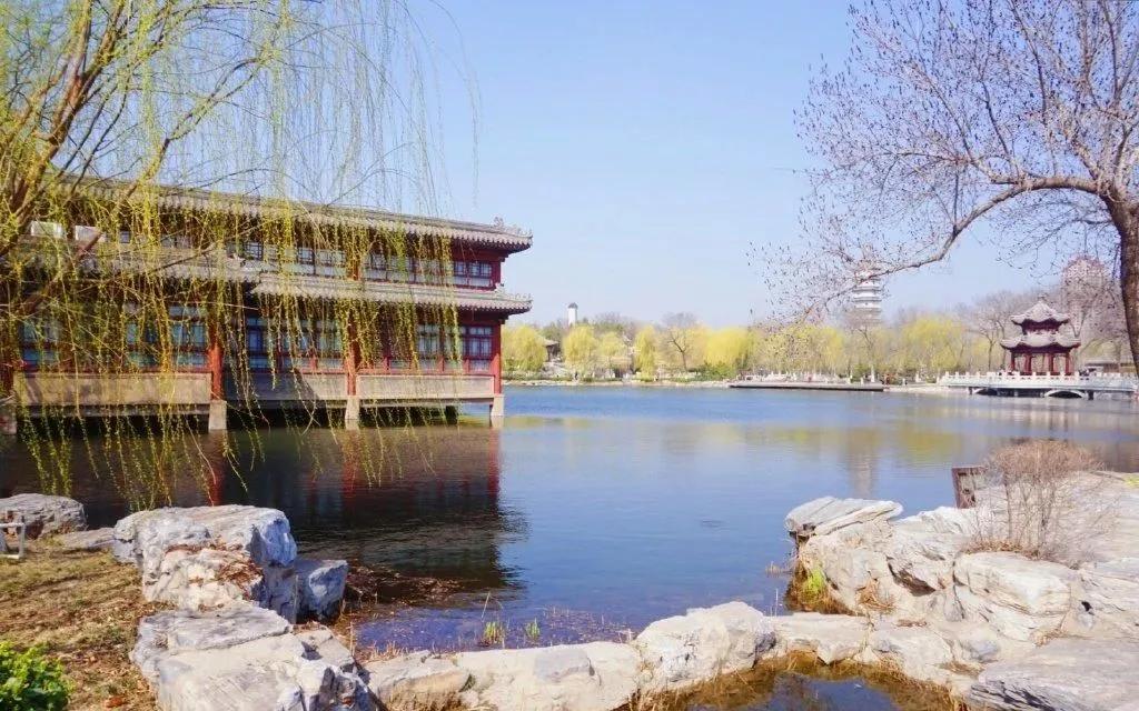 一个不出郑州的踏青好去处,天津春游公园推荐