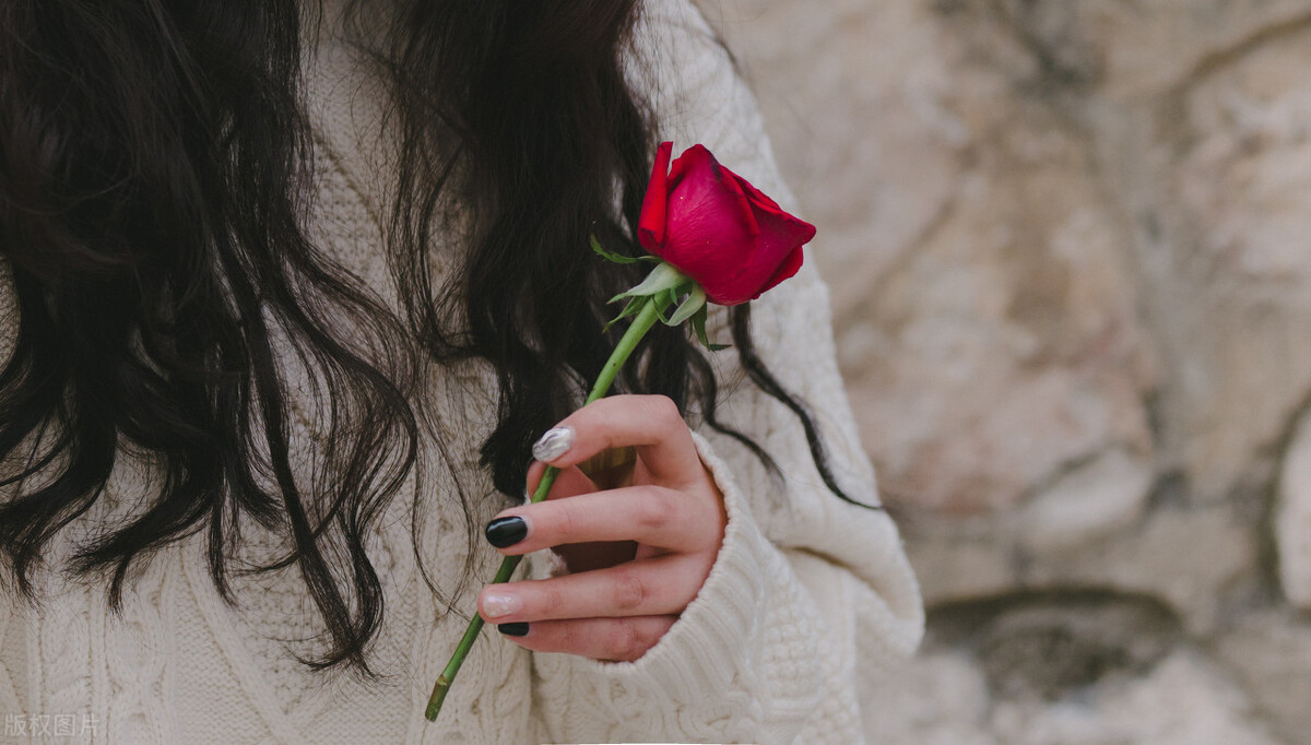 白茶清欢事,白茶清欢离别事