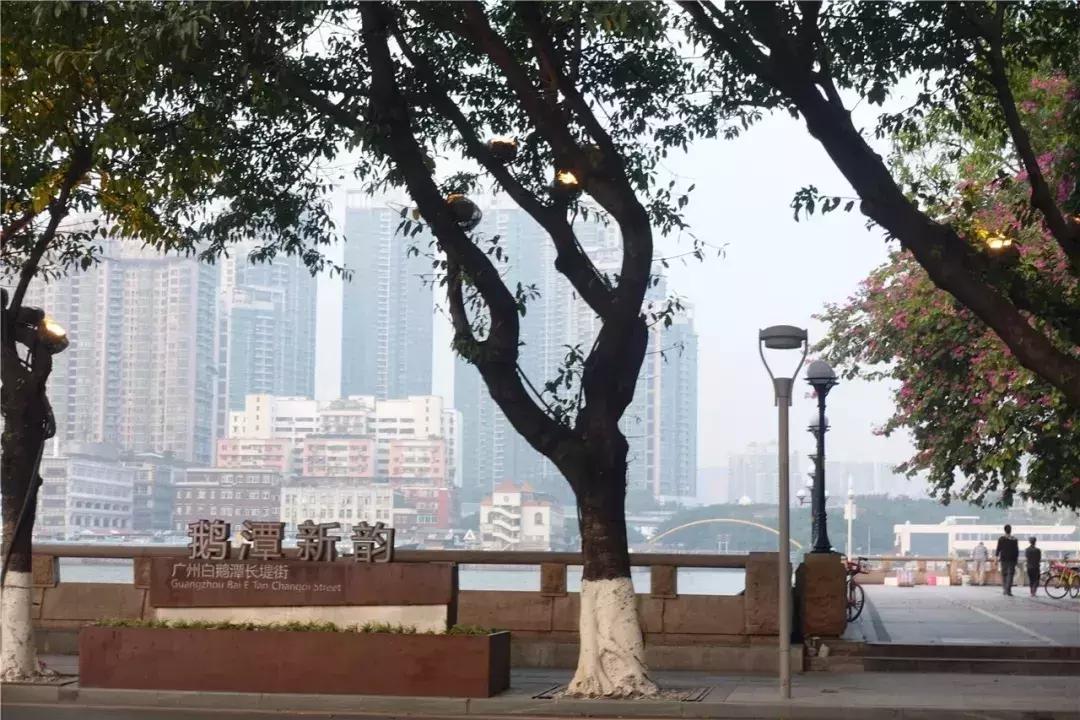 再见了大别山原唱歌曲,再见了大别山完整版原唱