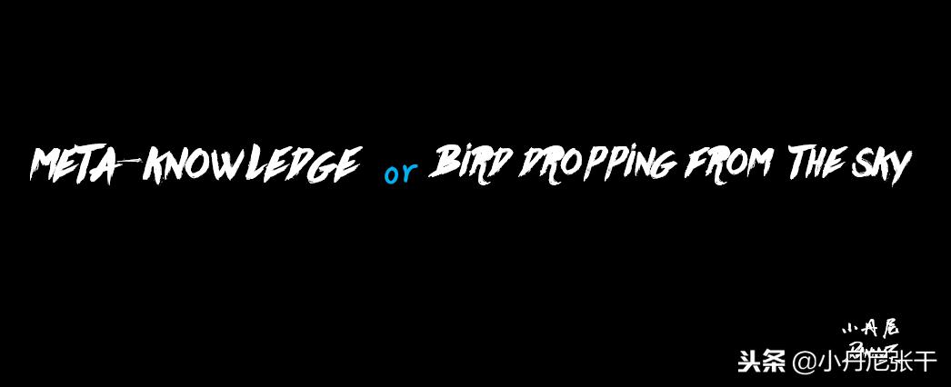 「小丹尼」你又不懂技术，凭什么领导我，还比我挣得多？