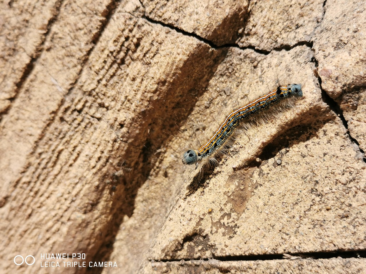 华为p30现在值得购买吗,华为p30还值得上手吗