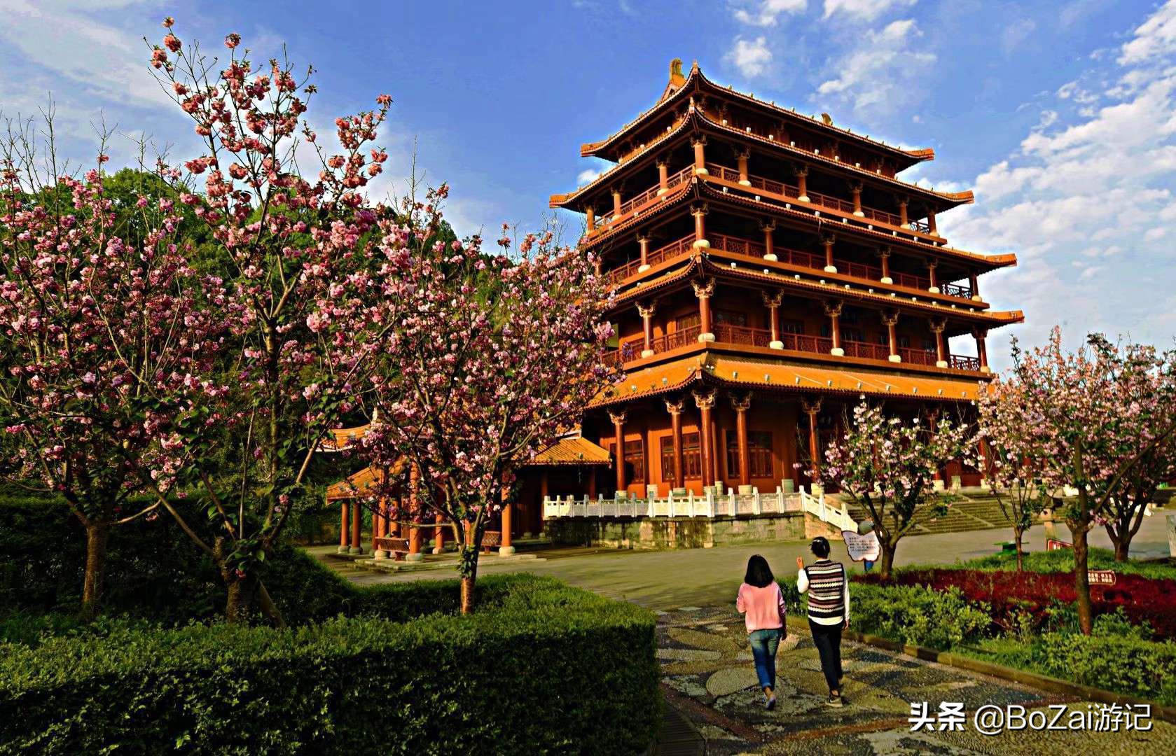 去四川南充都有哪些好耍的,南充市区最好的景点排名前十