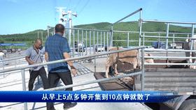 走向我们的小康社会,脱贫致富的小康生活