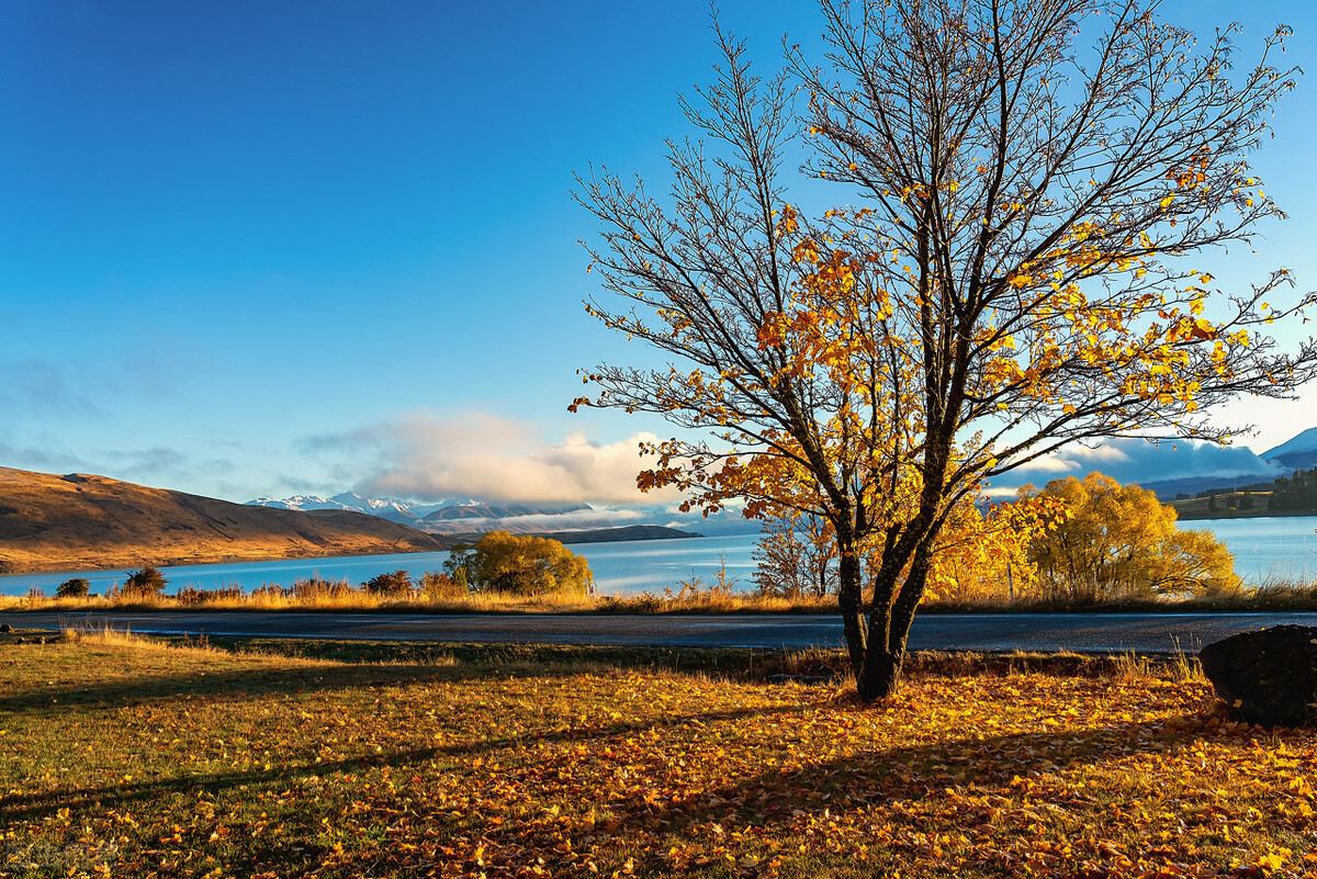 七年级生物真菌和细菌怎么区分,细菌和真菌在自然界中的作用教案