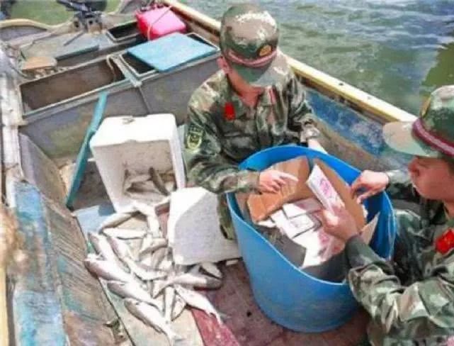 女明星代购被骗,女明星代购被骗案例